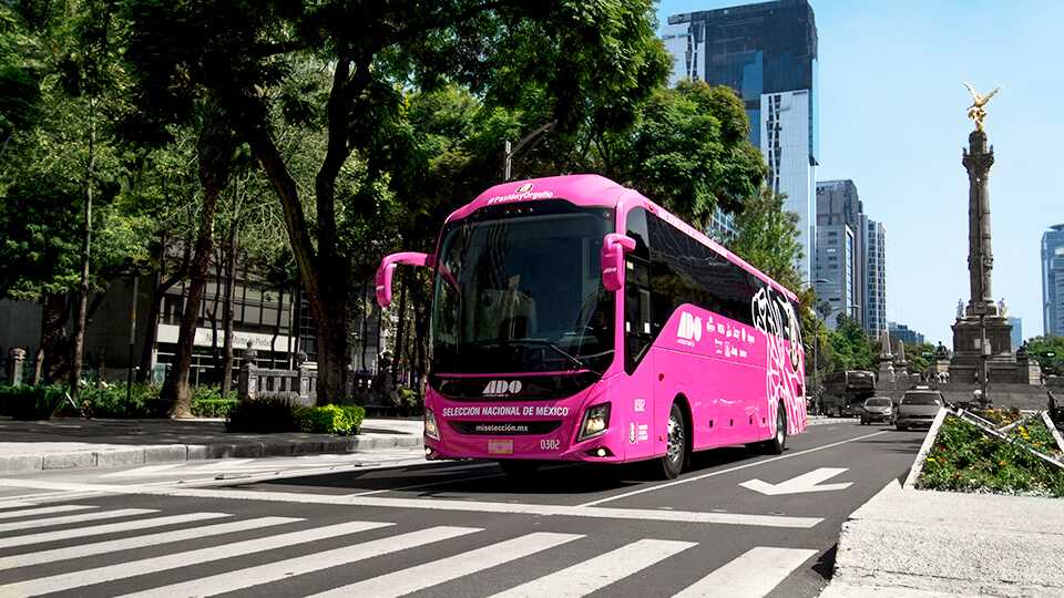 ADO contra el cancer