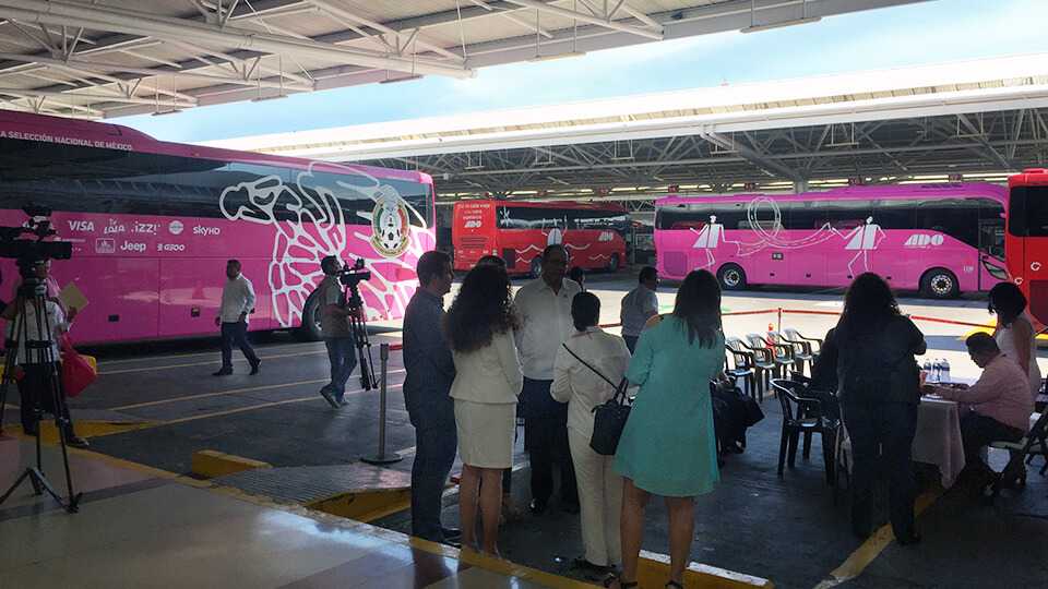 ADO contra el cancer