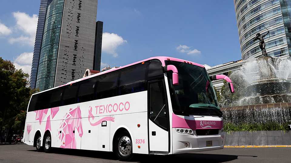 ADO contra el cancer