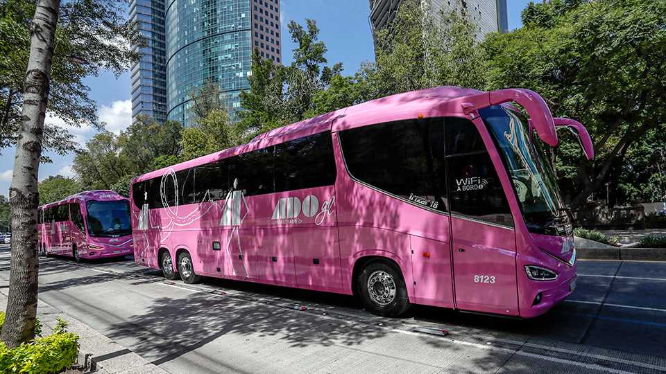 ADO contra el cancer